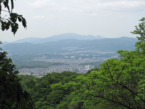 20140524hike (48)